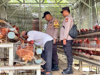 Polsek Lirik Kawal Ketahanan Pangan, Bhabinkamtibmas Cek Peternakan Ayam Kampung Binaan di Desa Rejosari