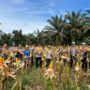 Swasembada Pangan Dengan Jagung Pipil, Polres Inhu Laksanakan Panen