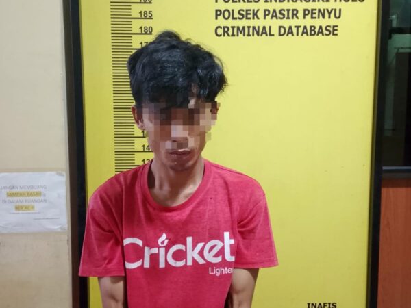 Lagi Tidur, Digrebek Polisi Sektor Pasir Penyu, Simpan 5 Paket Sabu