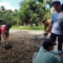 Pemdes Sungai Gantang Gandeng Swasta Tambal Jalan Provinsi Demi Keselamatan Pengendara