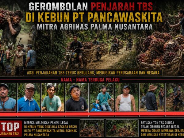Diduga Beraksi Terang-terangan, Kelompok Nasrun Sitepu dan Kani Dilaporkan Lagi ke Polisi