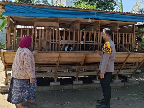 Gunakan Manajemen Peternakan Modern, Pesan Bhabinkamtibmas Polres Inhu Untuk Ketahanan Pangan