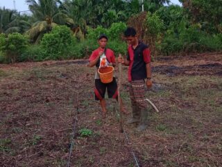 Dukung Program Asta Cita Presiden, Polsek Kuindra Bersama Pemdes Tanjung Melayu Tanam Jagung Serentak