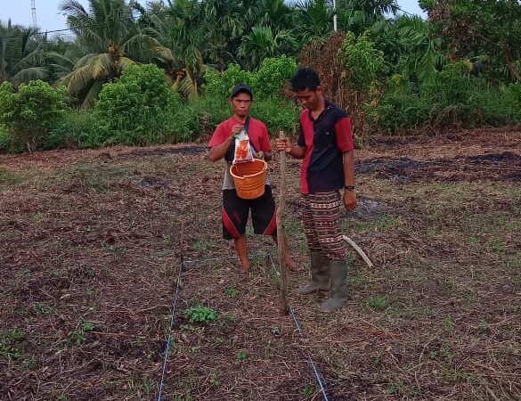 Dukung Program Asta Cita Presiden, Polsek Kuindra Bersama Pemdes Tanjung Melayu Tanam Jagung Serentak