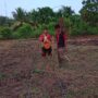 Dukung Program Asta Cita Presiden, Polsek Kuindra Bersama Pemdes Tanjung Melayu Tanam Jagung Serentak