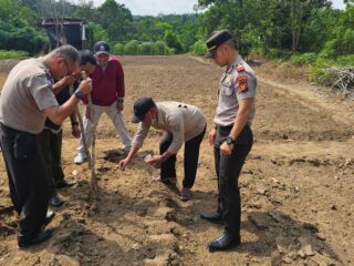 Polsek Lirik Tanam Jagung Pipil Kuartal II untuk Dukung Program Ketahanan Pangan Nasional
