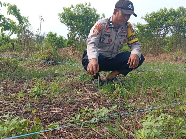 Polsek Kuindra Pantau Progres Perkebunan Jagung Program Ketahanan Pangan di Desa Tanjung Melayu