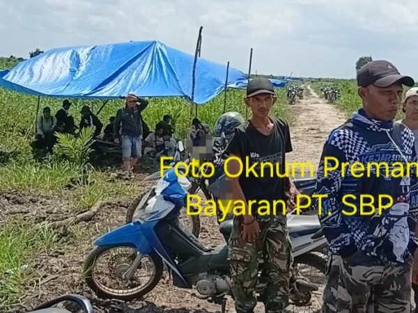 Lahan Sengketa Memanas, Bentrok Petani di Sungai Raya dan Massa Bayaran PT SBP Berhasil Digagalkan Polisi