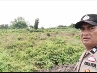 Polsek Kuindra Pantau Perkembangan Tanaman Jagung Program Ketahanan Pangan di Sapat