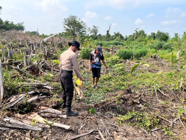 dukung Program Asta Cita Ketahanan Pangan, Personel Polsek Kuindra Pantau Pertumbuhan Tanaman Jagung di Kelurahan Sapat