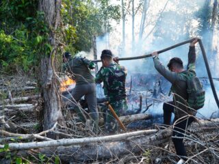 Dandim 0314/Inhil Turun Langsung Padamkan Karhutla di Desa Simpang Gaung