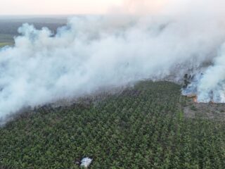 BPBD Kabupaten Indragiri Hilir Catat 80 Titik Hotspot di 9 Kecamatan