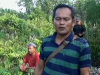 Diduga Rugikan Petani Rp 11,4 Miliar dan Langgar Aturan KKPA, Kelompok Tani di Inhil Layangkan Somasi ke PT RSA