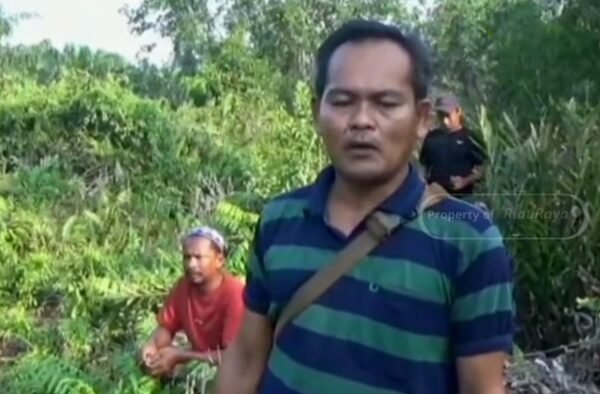 Diduga Rugikan Petani Rp 11,4 Miliar dan Langgar Aturan KKPA, Kelompok Tani di Inhil Layangkan Somasi ke PT RSA