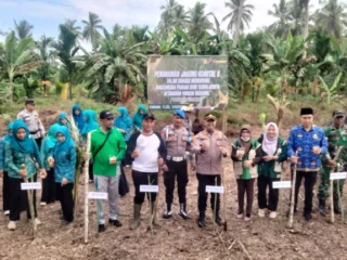Dukung Swasembada Pangan, Desa Pekan Kamis Gelar Penanaman Jagung Kuartal II