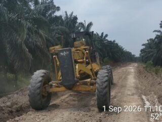 PT PAS Mitra Agrinas Intensifkan Perawatan Jalan Kebun, Dukung Kelancaran Produksi TBS  ‎