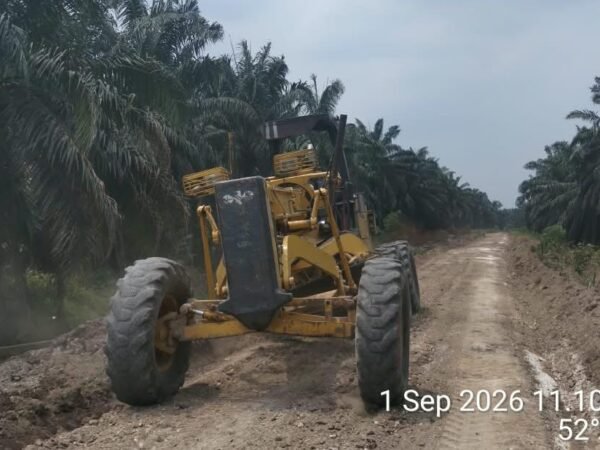 PT PAS Mitra Agrinas Intensifkan Perawatan Jalan Kebun, Dukung Kelancaran Produksi TBS  ‎