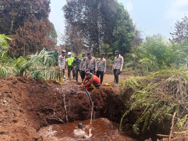 Karhutla Dekat Taman Nasional Zamrud Riau Terkendali, Tim Gabungan Akhiri Operasi Pemadaman
