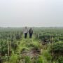 Dampingi Petani Cabai, Polsek Kuala Cenaku Dukung Program Ketahanan Pangan
