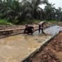 Wujudkan Akses Desa Lebih Baik, Kodim 0314/Inhil Bersama Warga Gotong Royong Semenisasi Jalan 1 Km di Kuala Lemang