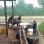 Tembus Gelombang dan Lumpur: Kodim 0314/Inhil Pasok Material TMMD Ke-130 ke Desa Kuala Lemang